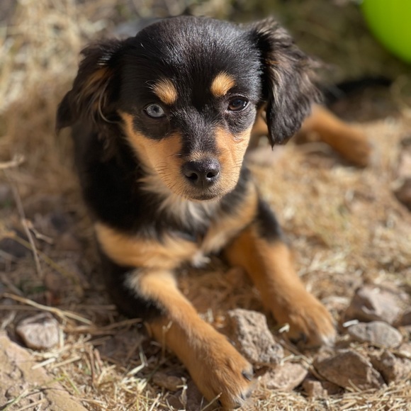 Meet your Posher, Robyn - Picture 1 of 1